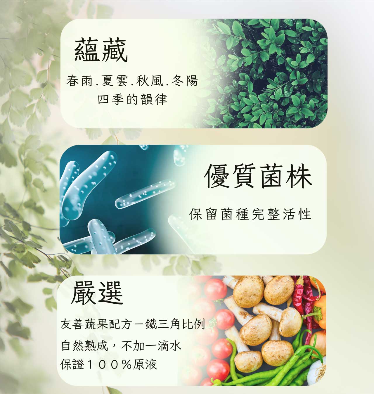 華菓露特極蔬果發酵液-03
